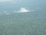 Iguazu Falls showing the sub tropical forest