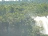 Large birds on branch by edge