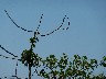 Bird needs investigating
