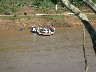 Car ferry from Paraguay
