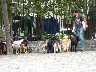 Dog Walking in BA