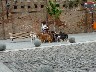 More dog walking