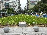 Plaza Intendente Alvear with its craft market
