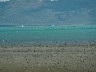 Icebergs on Lago Argentino