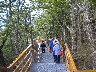New walkways are good