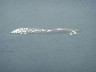 Bird's eye view of tourist boat