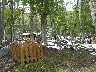 Camping area