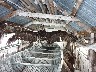 Condor dried over whaling boat