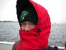 It is a bit b cold