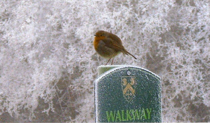 By the putting green
