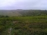 From near the top of Shanklin Down