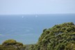 The Pacific Ocean near Puhoi