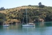 Approaching Waiheke Island