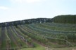 The Mudbrick vineyard