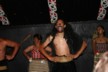 Maori cultural show 3