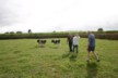 A calf for each of them
