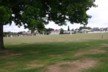 A cricket match at Taupo