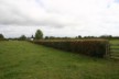 Part of the section