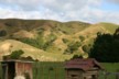 The hilly part of the farm