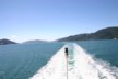 The Picton crossing 3