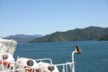 The Picton crossing 4