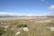 Salt marshes 2
