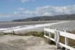 Salt marshes 3
