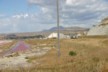 Salt marshes 4
