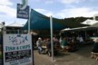 Akaroa fish lunch