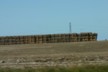 Journey to Oamaru - bales of hay