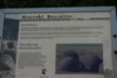 Moeraki boulders - an explanation