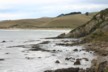 Shag Point