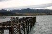 The pier at Moeraki
