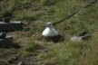 A chick waiting for food