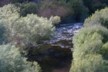 The Taieri Gorge railway 41