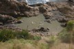 Seals at Nugget Point