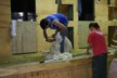 Shearing at Greenbush