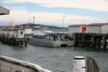 The ferry at Bluff