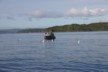 Fishing in Paterson Inlet