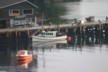 The fishing boat leaves with more tourists