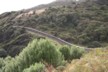 The pest proof fence
