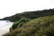 The pest proof fence reaches the sea