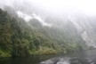 Somewhere in Doubtful Sound