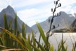Milford Sound from the car park