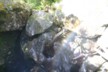 Water beaten rocks