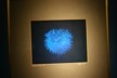 A hologram at Puzzling World
