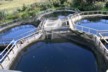 The salmon farm at Lake Paringa
