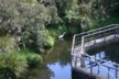 The white heron at the salmon farm