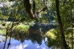 A mirror lake - Lake Matheson