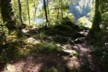 Alongside Lake Matheson
